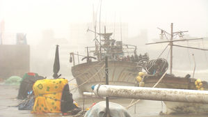 [울산 주민 연결] "매우 강한 바람&hellip;지난 태풍보다 피해 더 큰 듯"