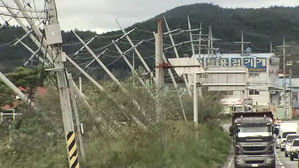 힘없이 쓰러진 전봇대 수십 개&hellip;포항 피해 현장