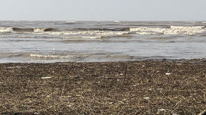 쓰레기장으로 변한 백사장&hellip;낙동강 하구 다대포 해변 '비명'