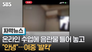 [자막뉴스]온라인 수업에 음란물 틀어 놓고 "안녕"&hellip;여중 '발칵'(