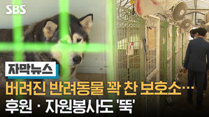 [자막] 버려진 반려동물 꽉 찬.. 후원, 자원봉사도 뚝
