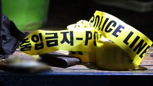 폴리스라인, 경찰