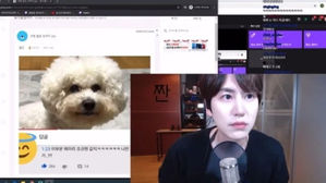 [SBS Star] Super Junior KyuHyun Responds to a Dog that Fans Claim that Reminds Them of Him