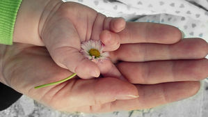 [인-잇] 아빠는 오늘도 아이라는 거울을 본다