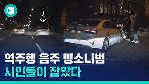 음주에, 뺑소니에, 역주행까지&hellip;'노답' 운전자 끝까지 추격한 시민들