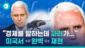 "나라 경제 얘기하고 있는데 파리가" 역대급 방송사고 짤…미국에서 완벽 재현