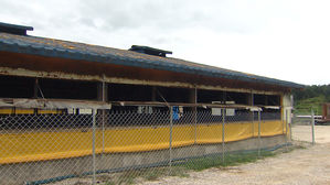 화천서 또 아프리카돼지열병&hellip;"예방적 살처분 대상 농장"