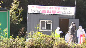 두 번째 돼지열병 농가 나왔다&hellip;경기도로 확산 우려