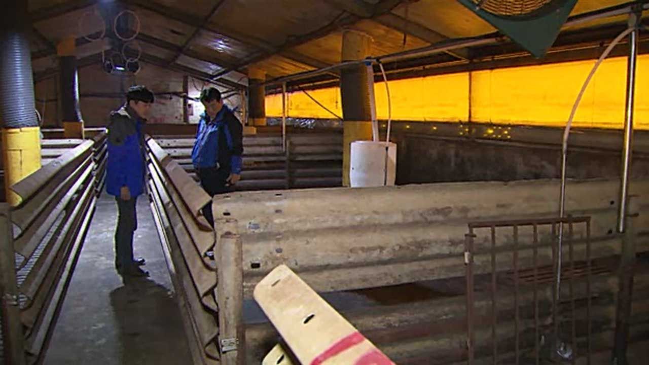 [취재파일]？ '버틴 것만 해도 신기하다