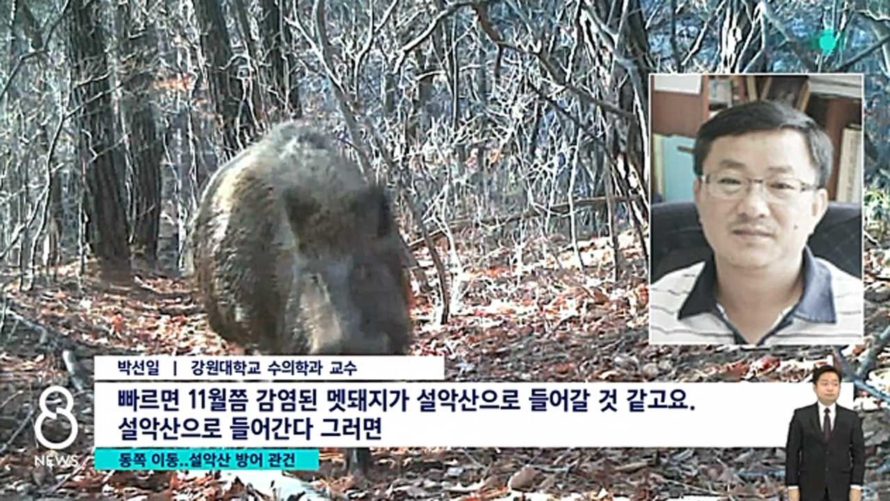 [취재파일]？ '버틴 것만 해도 신기하다