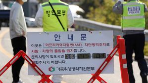 [취재파일] "버틴 것만 해도 신기하다"&hellip;멧돼지 ASF에 포위됐던 화천 농가