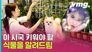'꽃, 싸게 팝니다' 코로나 블루 이겨낼 블루밍 꿀팁을 알려드림