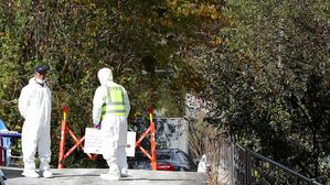 아프리카돼지열병 확산 불안&hellip;철원서 감염 멧돼지 발견