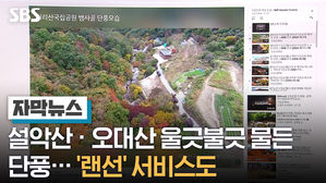 자막4_송인호_단풍도 랜선 서비스