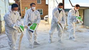 아프리카돼지열병에 고병원성 AI까지 가축방역 '비상'