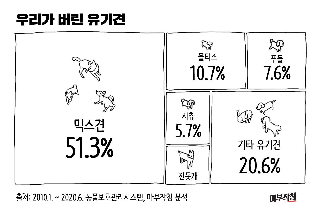 (작성중) [마부작침] 2020 유기동물을 부탁해 - ① 우리가 버린 95만 '아이'들