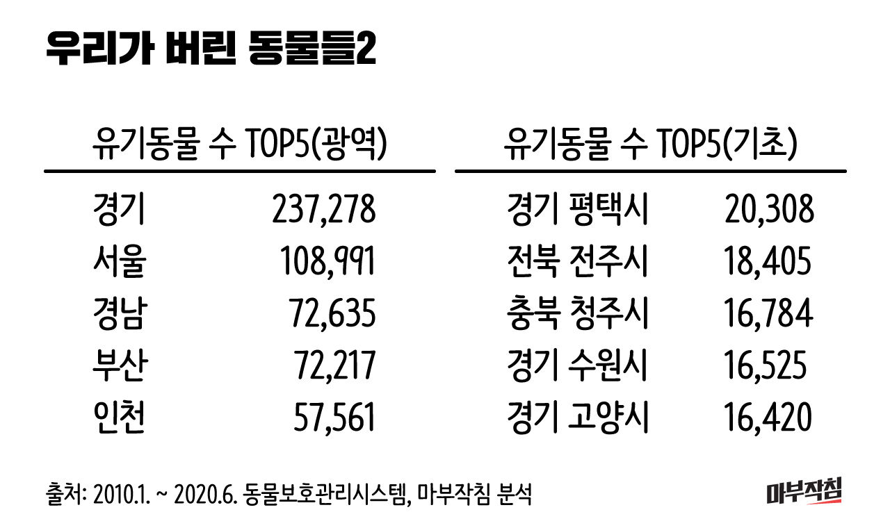 (작성중) [마부작침] 2020 유기동물을 부탁해 - ① 우리가 버린 95만 '아이'들