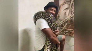 길이 7m, 무게 240kg 애완뱀 등장&hellip;"먹이는 닭 2마리"