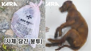토치에 불타 죽은 강아지 사체&hellip;주인 "잡아먹으려고"