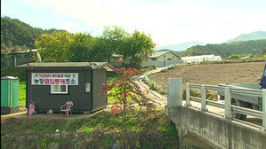 [취재파일] "저희는 이제 범법자 되는 거예요"&hellip;꽉 찬 돼지분뇨 통을 어쩌나