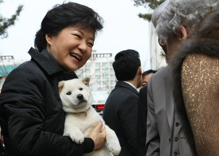2013년 당시 박근혜 전 대통령은 삼성동 자택을 떠나면서 지역 주민들로부터 진돗개 두 마리를 선물 받았다.