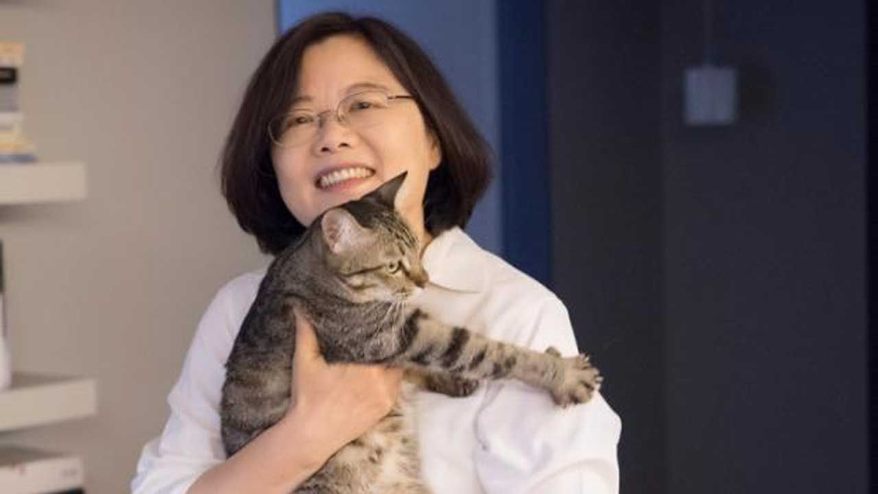 차이잉원 타이완 총통과 반려묘 '샹샹'