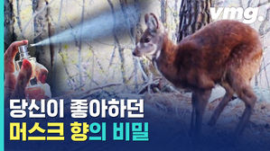 야산에서 발견된 고라니? 알고보니 천연기념물