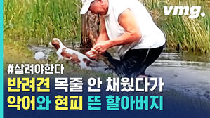점심밥으로 할아버지네 강아지 물어갔다가&hellip;참교육 당한 악어