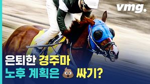 마생 2회차 미션은 잘 먹고 잘 싸기?&hellip;은퇴한 경주마와 멸종 위기 소똥구리의 극적 만남