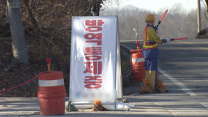 상주 농장 AI 확진에 경북-충남-충북-세종-강원 일시 이동중지