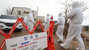 '고병원성 AI 의심' 정읍 오리농장 반경 3km 가금류 39만 마리 살처분