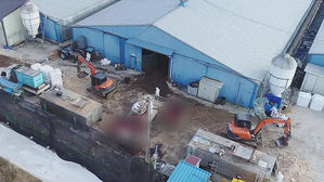 정읍 오리농장서 고병원성 AI&hellip;'심각' 단계 격상