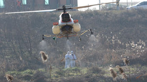 가금농장 고병원성 AI 확진 "방역 최고 수준 강화"