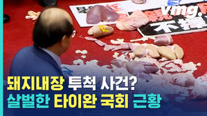 타이완 의회에 '돼지내장'이 던져진 이유는?! 역대급 비린내에 몸싸움까지&hellip;