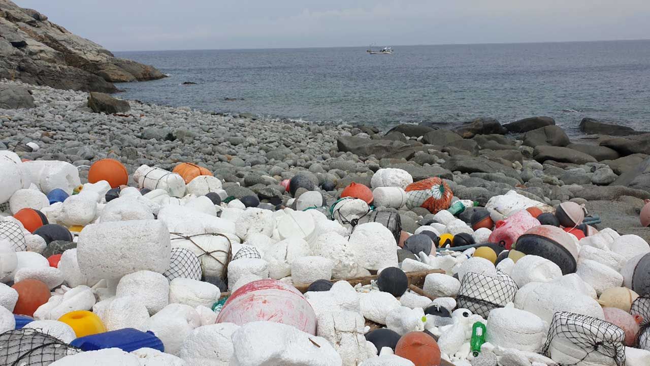 [취재파일] 해양쓰레기에 죽어가는 바다거북