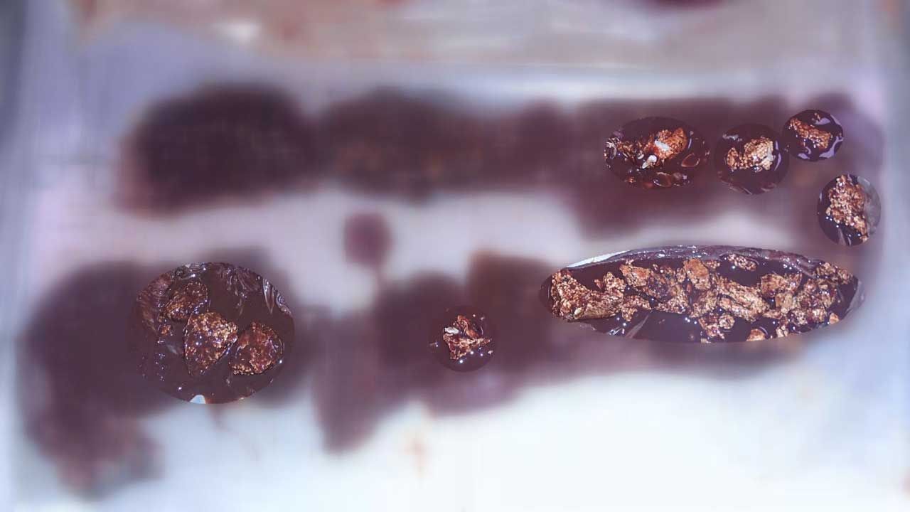 [취재파일] 해양쓰레기에 죽어가는 바다거북