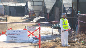 경기 여주 산란계 농장서 AI 의심 신고…간이검사서 "양성"