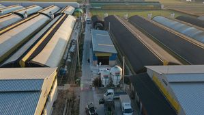 나주 농장서 출하한 오리, 도축장서 AI 항원 검출…정밀검사 중