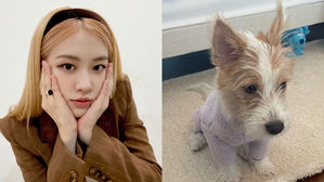[SBS Star] BLACKPINK ROSE Adopts an Abandoned Puppy 'Hank'