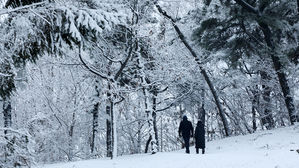 [포토] 겨울왕국으로 바뀐 서울