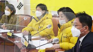 정의당 "변창흠 국토장관 후보자 부적격 판단"