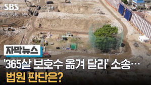 '365살 보호수 옮겨 달라' 소송&hellip;법원 판단은?