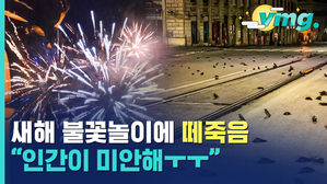 새해 첫날 로마 길거리 뒤덮은 수백 마리 죽은 새&hellip;원인은?
