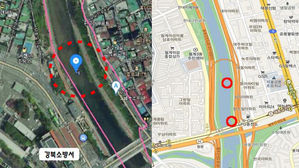 서울 우이천 · 중랑천서 고병원성 AI…가금류 반출입 제한