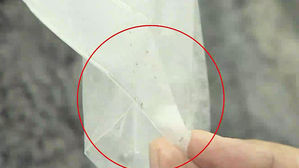 경기 여주정수장서 '깔따구' 유충 발견&hellip;"음용 자제해야"