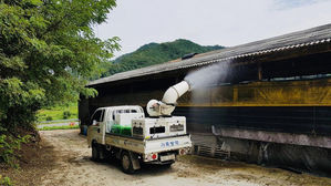 야생멧돼지 아프리카돼지열병 941건 발생&hellip;"광역수렵장 다시 운영"