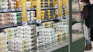 '달걀 파동' 막자…달걀 수입 관세 한시적 면제