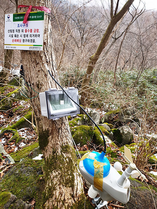 고로쇠 수액 출수 조사 모습 (사진=국립산림과학원 제공, 연합뉴스)