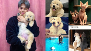 [SBS Star] Park Eun-seok Under Fire for Changing His Pets Too Often