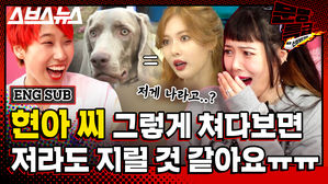 [문명특급 EP.167] 현아가 던한테 화내기 전에 짓는 표정ㅋㅋㅋㅋㅋㅋㅋㅋ 알고보니 세나개상이었던 현아ㄷㄷ